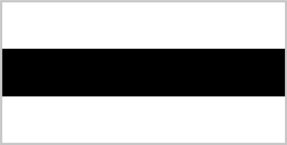 Роўнасьць палітычная сьцяг Язэп Палітыка @palityka