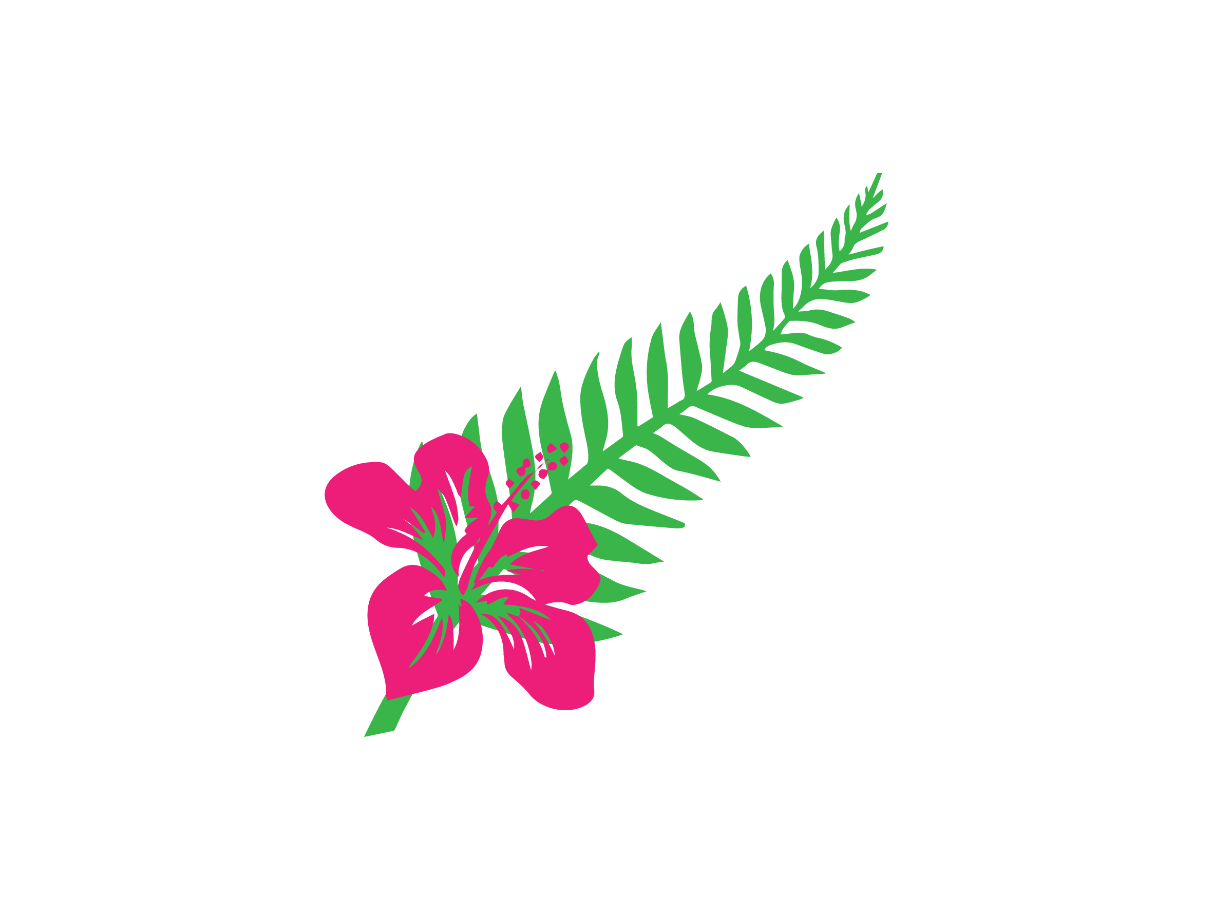 Купальле, папараць кветка